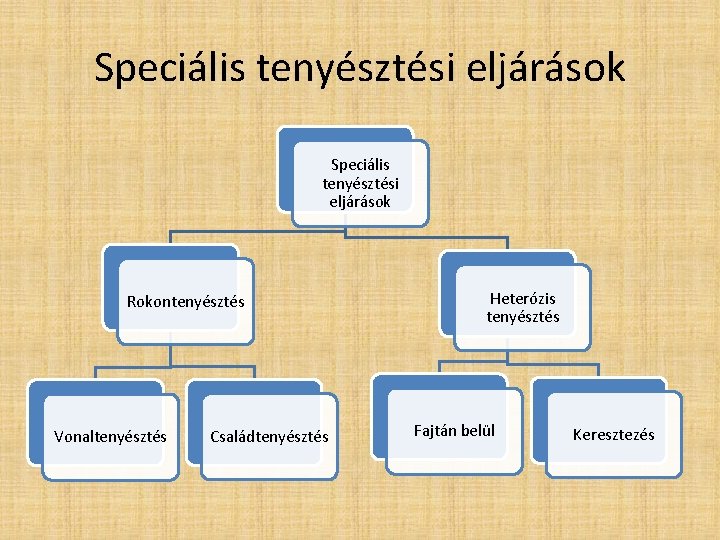 Speciális tenyésztési eljárások Rokontenyésztés Vonaltenyésztés Családtenyésztés Heterózis tenyésztés Fajtán belül Keresztezés 