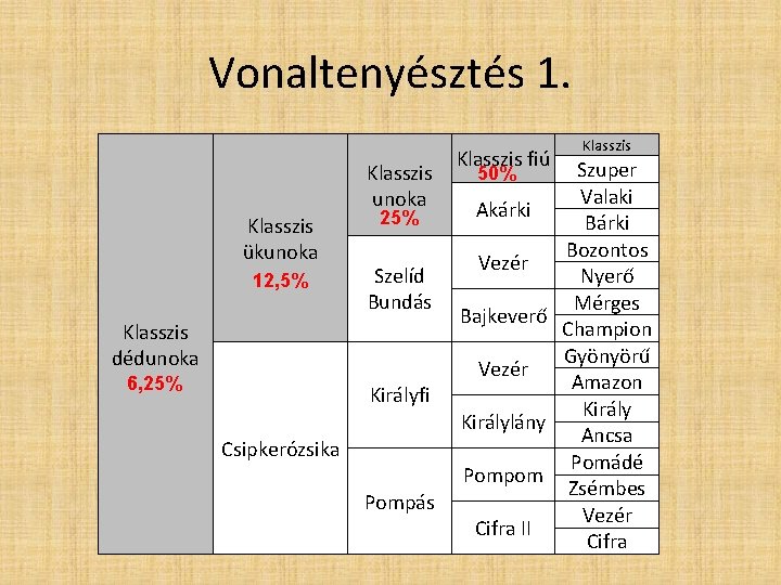 Vonaltenyésztés 1. Klasszis unoka Klasszis ükunoka 12, 5% 25% Szelíd Bundás Klasszis dédunoka 6,