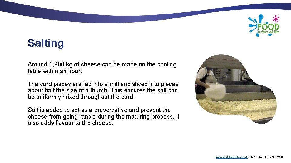 Salting Around 1, 900 kg of cheese can be made on the cooling table