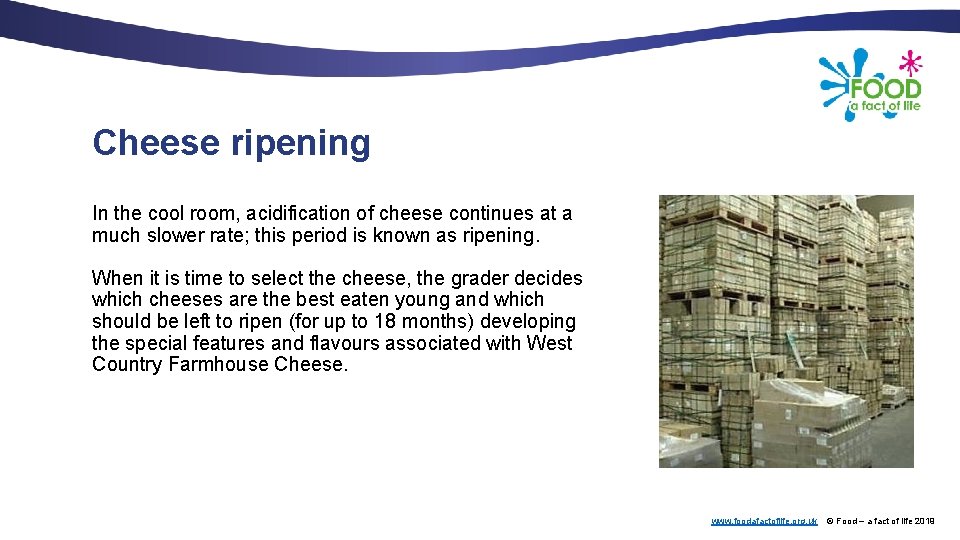 Cheese ripening In the cool room, acidification of cheese continues at a much slower