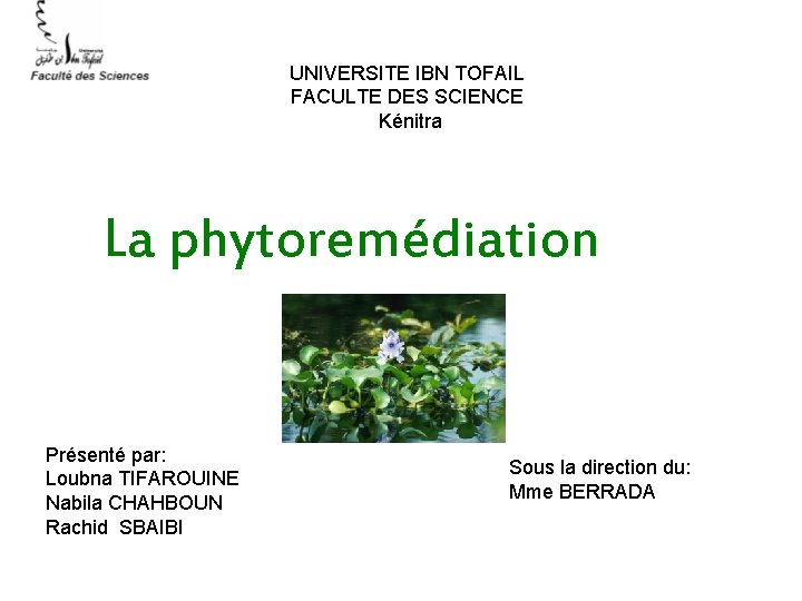 UNIVERSITE IBN TOFAIL FACULTE DES SCIENCE Kénitra La phytoremédiation Présenté par: Loubna TIFAROUINE Nabila