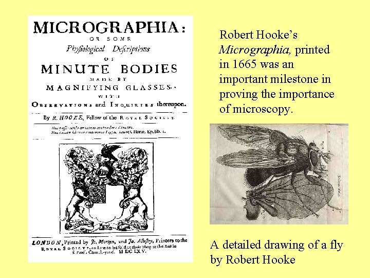 Robert Hooke’s Micrographia, printed in 1665 was an important milestone in proving the importance