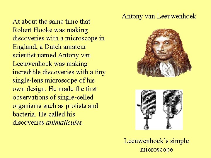 At about the same time that Robert Hooke was making discoveries with a microscope