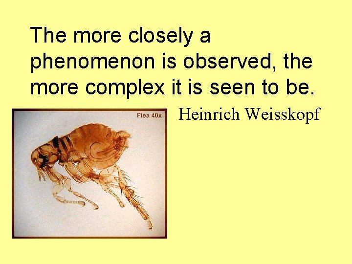 The more closely a phenomenon is observed, the more complex it is seen to