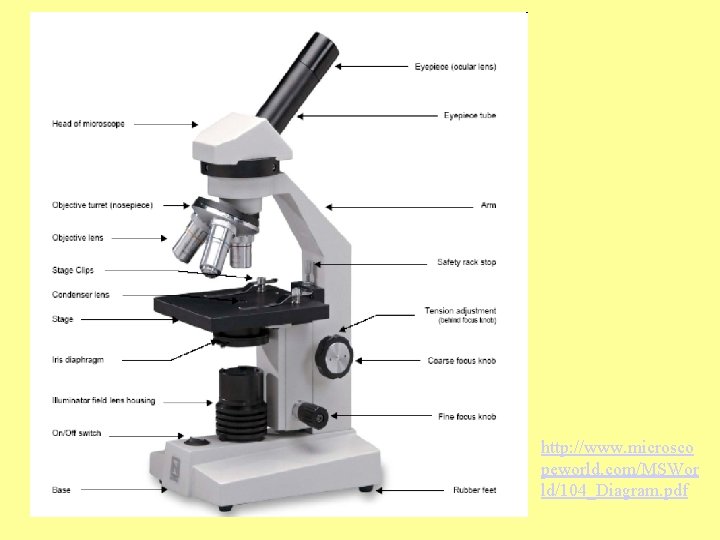 http: //www. microsco peworld. com/MSWor ld/104_Diagram. pdf 