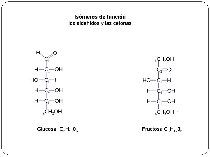 Isómeros de función los aldehídos y las cetonas Glucosa C 6 H 1206 Fructosa