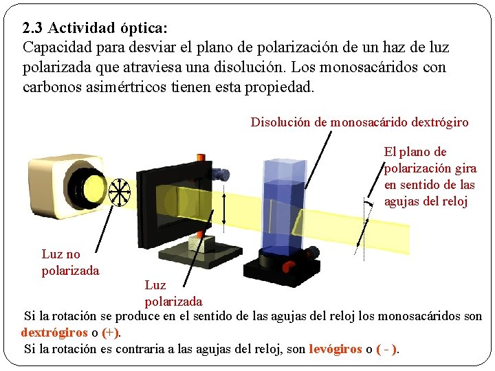 2. 3 Actividad óptica: Capacidad para desviar el plano de polarización de un haz