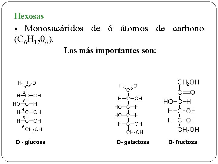 Hexosas Monosacáridos de 6 átomos de carbono (C 6 H 1206). § Los más