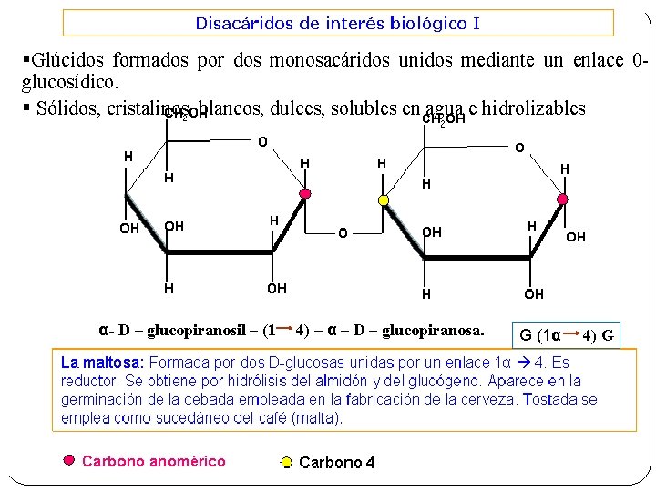 §Glúcidos formados por dos monosacáridos unidos mediante un enlace 0 glucosídico. § Sólidos, cristalinos,