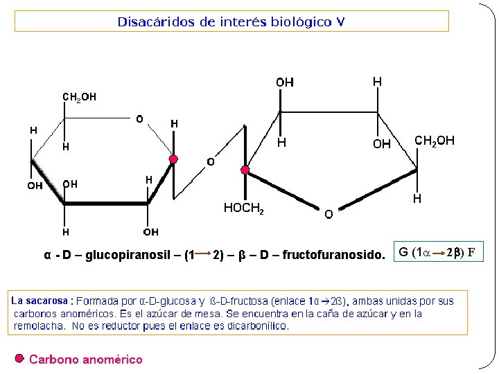 α - D – glucopiranosil – (1 2) – β – D – fructofuranosido.