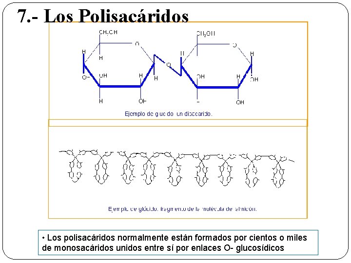 7. - Los Polisacáridos • Los polisacáridos normalmente están formados por cientos o miles