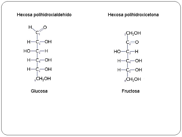 Hexosa polihidroxialdehído Glucosa Hexosa polihidroxicetona Fructosa 