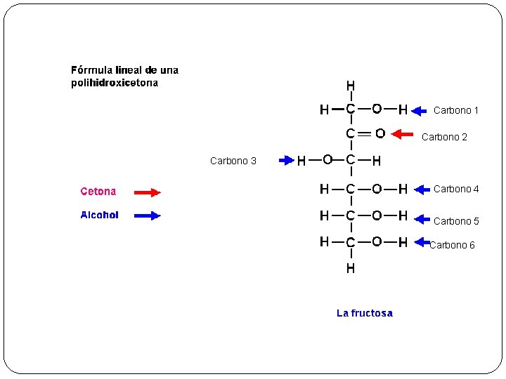 Carbono 1 Carbono 2 Carbono 3 Carbono 4 Carbono 5 Carbono 6 