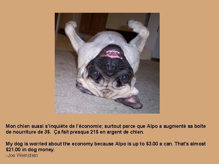 Mon chien aussi s’inquiète de l’économie; surtout parce que Alpo a augmenté sa boîte