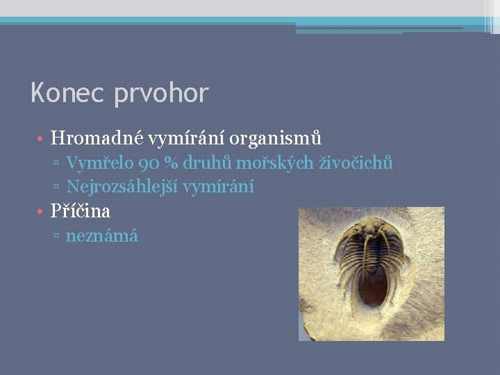 Konec prvohor • Hromadné vymírání organismů ▫ Vymřelo 90 % druhů mořských živočichů ▫