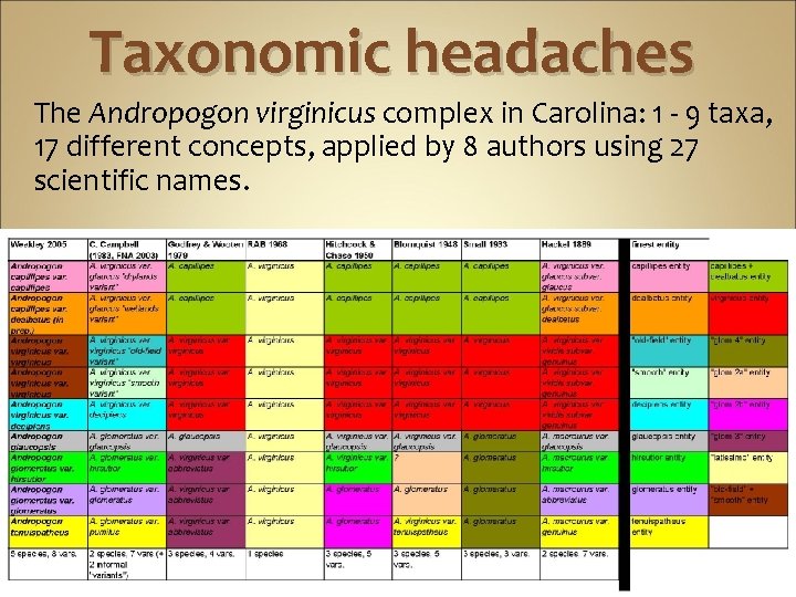 Taxonomic headaches The Andropogon virginicus complex in Carolina: 1 - 9 taxa, 17 different