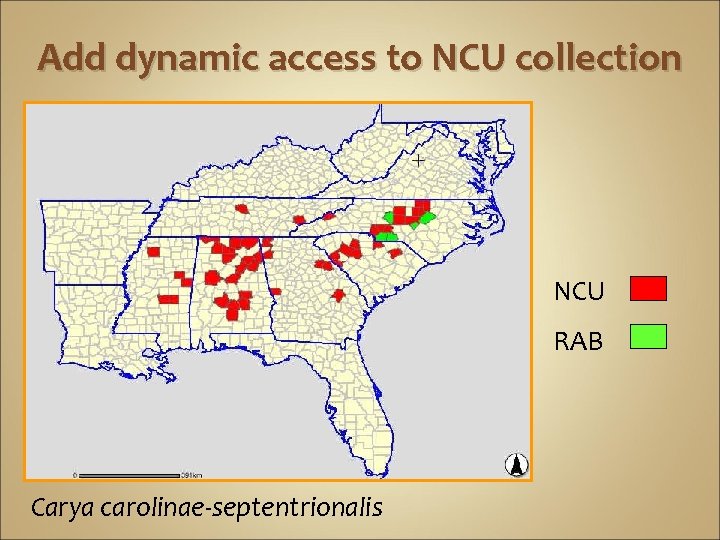 Add dynamic access to NCU collection NCU RAB Carya carolinae-septentrionalis 