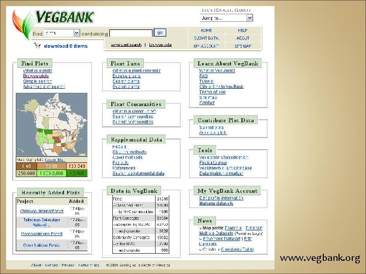 www. vegbank. org 