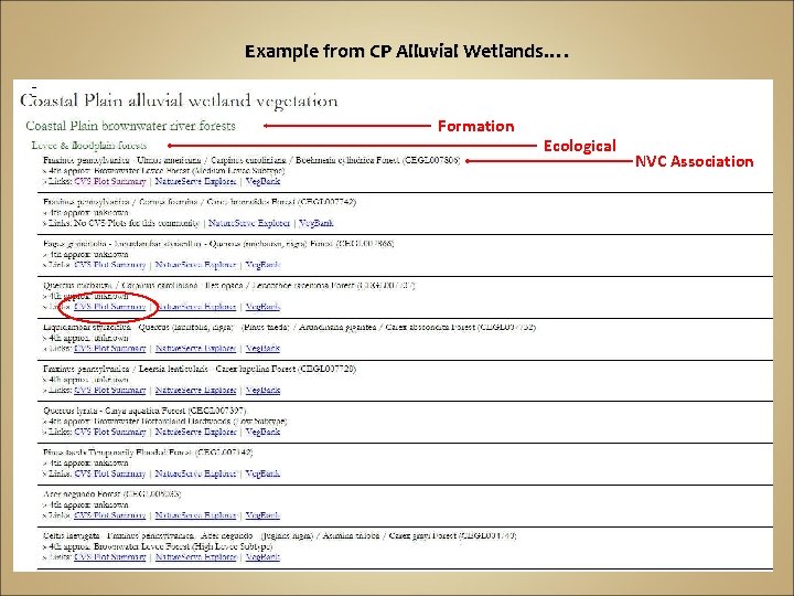 Example from CP Alluvial Wetlands…. Formation Ecological NVC Association 