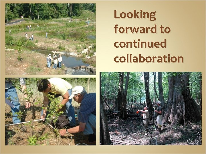 Looking forward to continued collaboration 