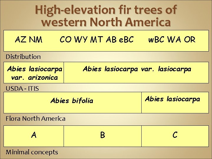 High-elevation fir trees of western North America AZ NM CO WY MT AB e.