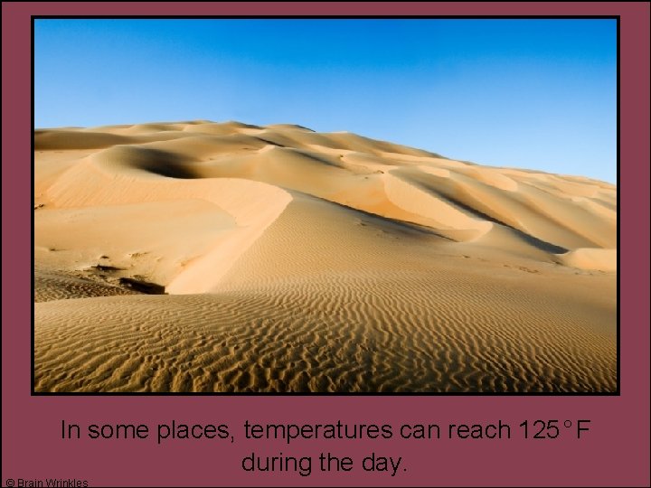 In some places, temperatures can reach 125°F during the day. © Brain Wrinkles 