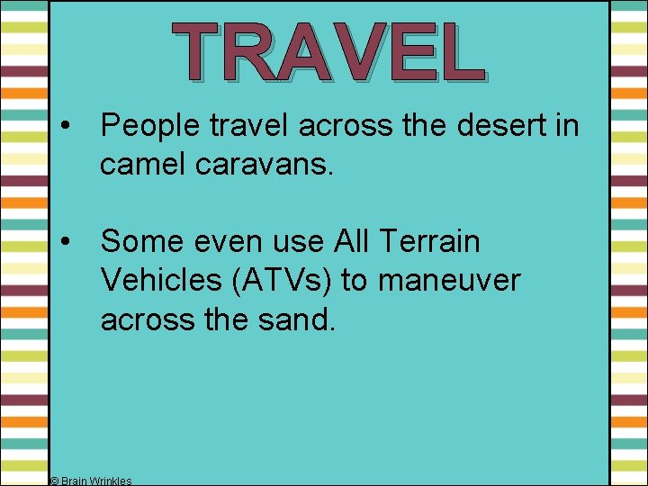 TRAVEL • People travel across the desert in camel caravans. • Some even use