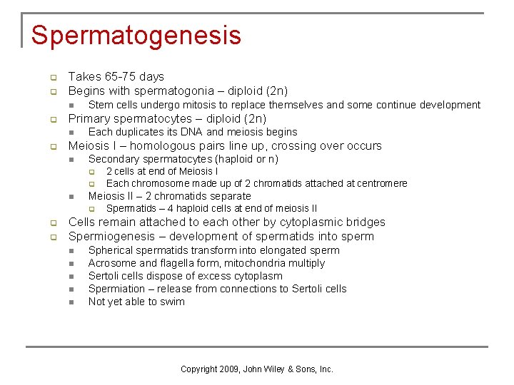 Spermatogenesis q q Takes 65 -75 days Begins with spermatogonia – diploid (2 n) Spermatogenesis q q Takes 65 -75 days Begins with spermatogonia – diploid (2 n)