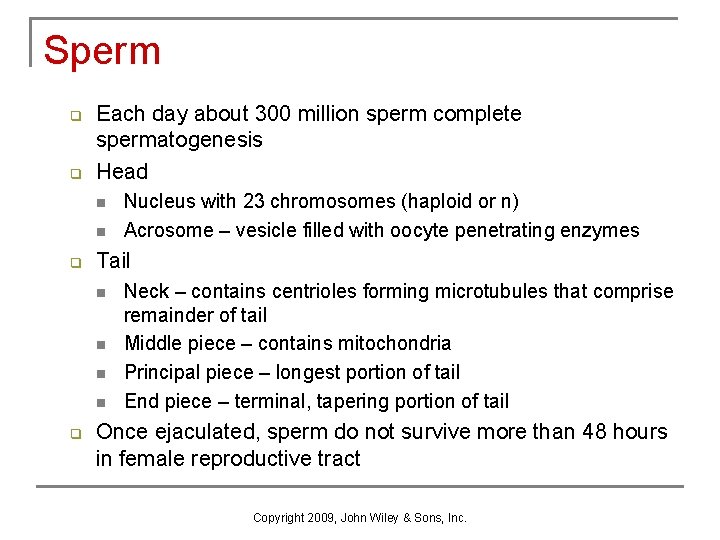 Sperm q q Each day about 300 million sperm complete spermatogenesis Head n n Sperm q q Each day about 300 million sperm complete spermatogenesis Head n n