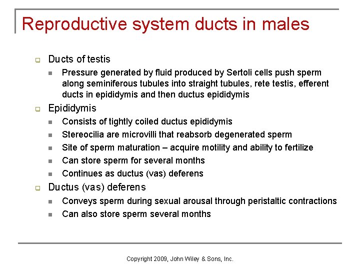 Reproductive system ducts in males q Ducts of testis n q Epididymis n n Reproductive system ducts in males q Ducts of testis n q Epididymis n n