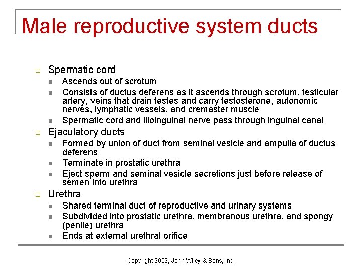 Male reproductive system ducts q Spermatic cord n n n q Ejaculatory ducts n Male reproductive system ducts q Spermatic cord n n n q Ejaculatory ducts n