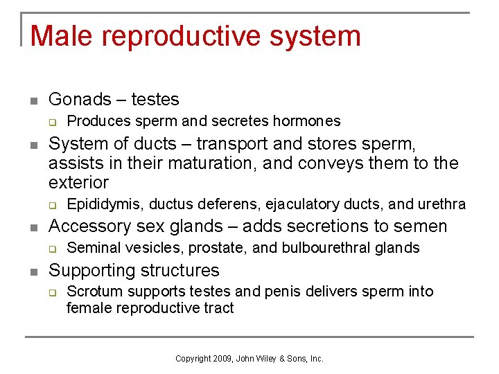Male reproductive system n Gonads – testes q n System of ducts – transport Male reproductive system n Gonads – testes q n System of ducts – transport