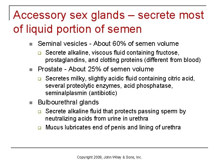 Accessory sex glands – secrete most of liquid portion of semen n Seminal vesicles Accessory sex glands – secrete most of liquid portion of semen n Seminal vesicles