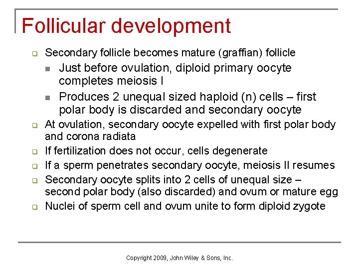 Follicular development q Secondary follicle becomes mature (graffian) follicle n n q q q Follicular development q Secondary follicle becomes mature (graffian) follicle n n q q q