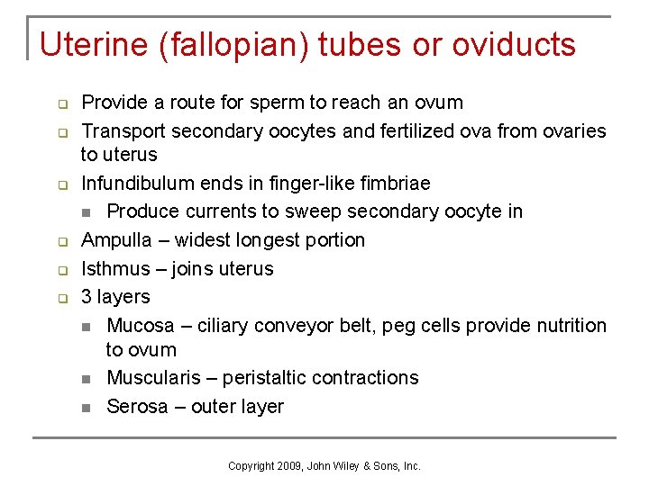 Uterine (fallopian) tubes or oviducts q q q Provide a route for sperm to Uterine (fallopian) tubes or oviducts q q q Provide a route for sperm to