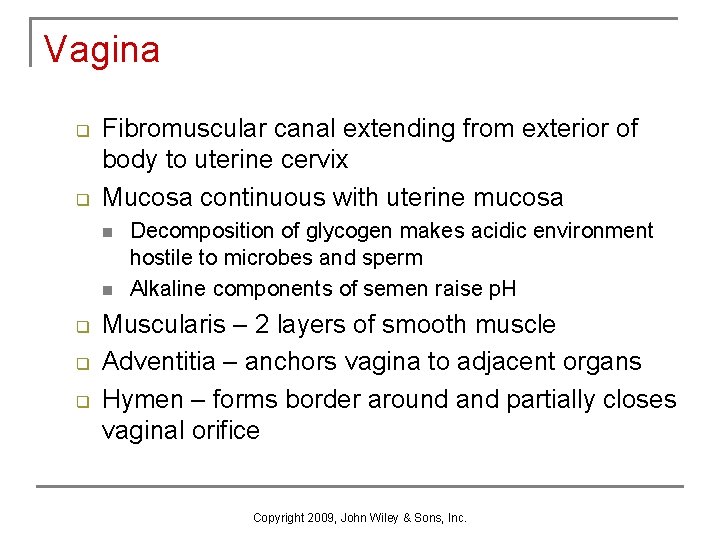 Vagina q q Fibromuscular canal extending from exterior of body to uterine cervix Mucosa Vagina q q Fibromuscular canal extending from exterior of body to uterine cervix Mucosa
