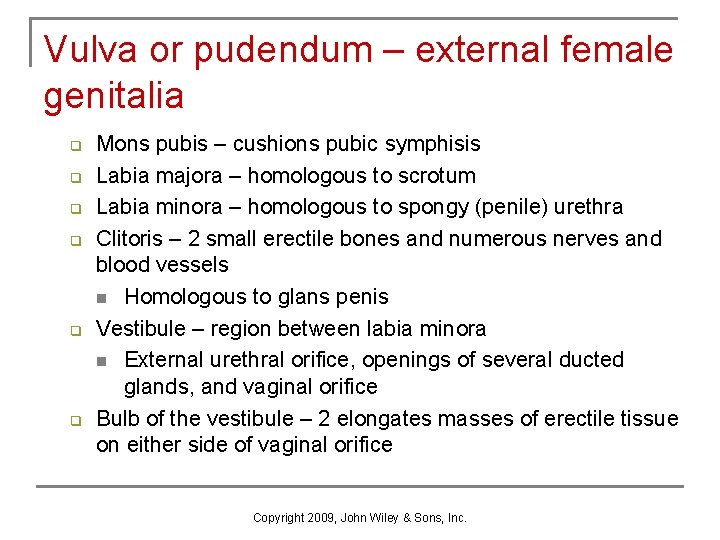 Vulva or pudendum – external female genitalia q q q Mons pubis – cushions Vulva or pudendum – external female genitalia q q q Mons pubis – cushions