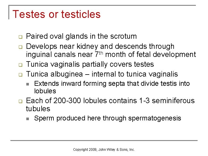 Testes or testicles q q Paired oval glands in the scrotum Develops near kidney Testes or testicles q q Paired oval glands in the scrotum Develops near kidney