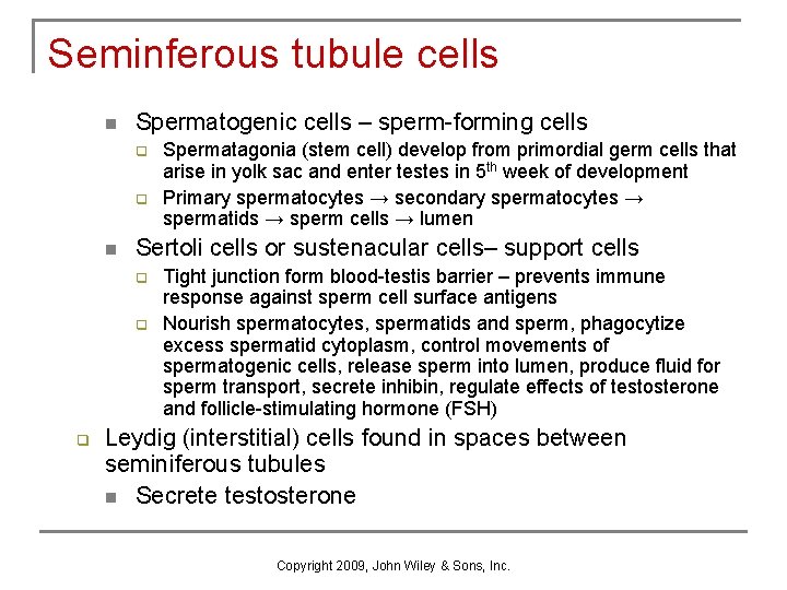 Seminferous tubule cells n Spermatogenic cells – sperm-forming cells q q n Sertoli cells Seminferous tubule cells n Spermatogenic cells – sperm-forming cells q q n Sertoli cells
