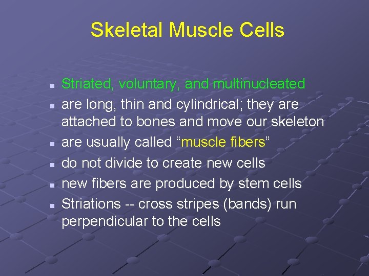 Skeletal Muscle Cells n n n Striated, voluntary, and multinucleated are long, thin and