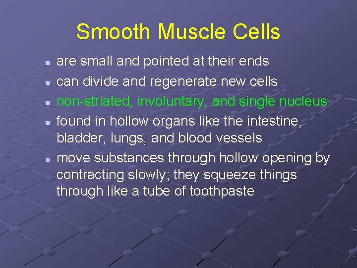 Smooth Muscle Cells n n n are small and pointed at their ends can