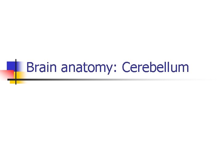 Brain anatomy: Cerebellum 
