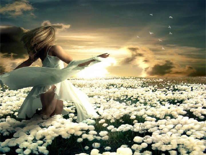 Que sua vida seja repleta de silêncio , com alegria e … Paz Profunda!