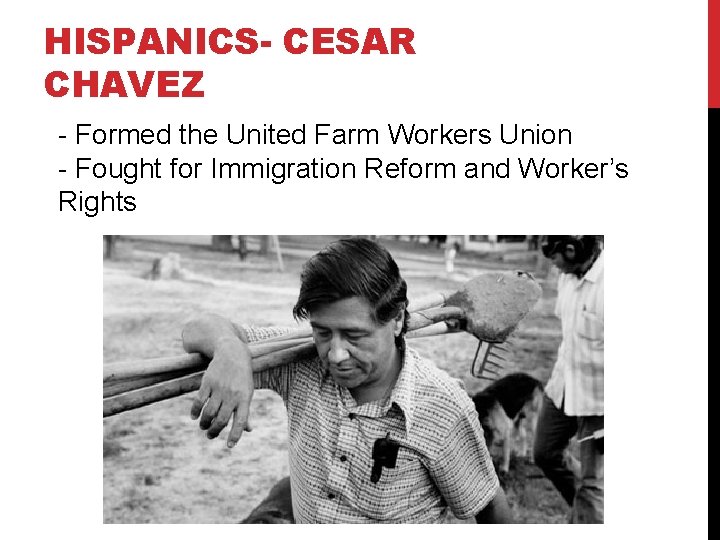 HISPANICS- CESAR CHAVEZ - Formed the United Farm Workers Union - Fought for Immigration