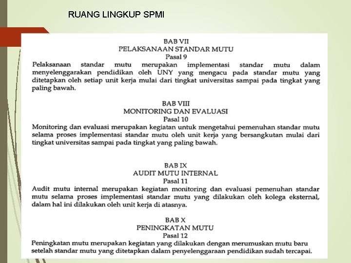 RUANG LINGKUP SPMI 