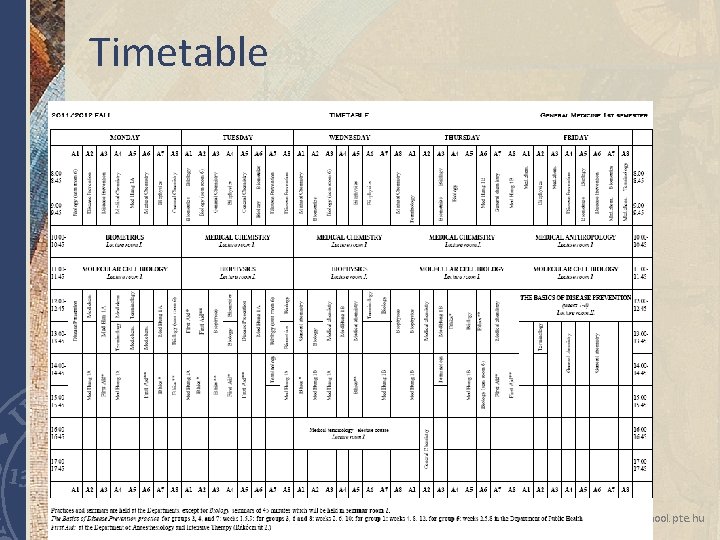Timetable www. medschool. pte. hu Timetable www. medschool. pte. hu