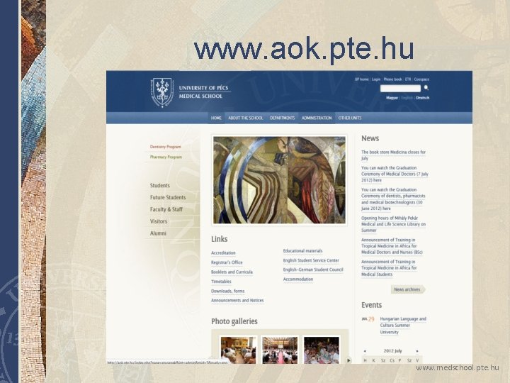 www. aok. pte. hu www. medschool. pte. hu www. aok. pte. hu www. medschool. pte. hu