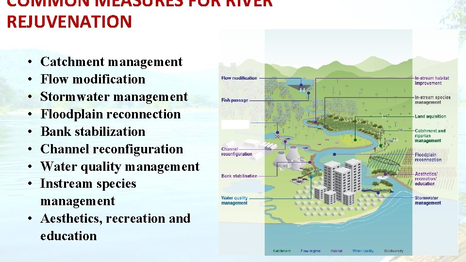 COMMON MEASURES FOR RIVER REJUVENATION • • Catchment management Flow modification Stormwater management Floodplain