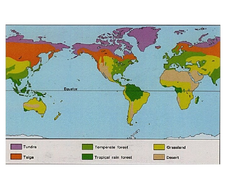 Land Biomes 