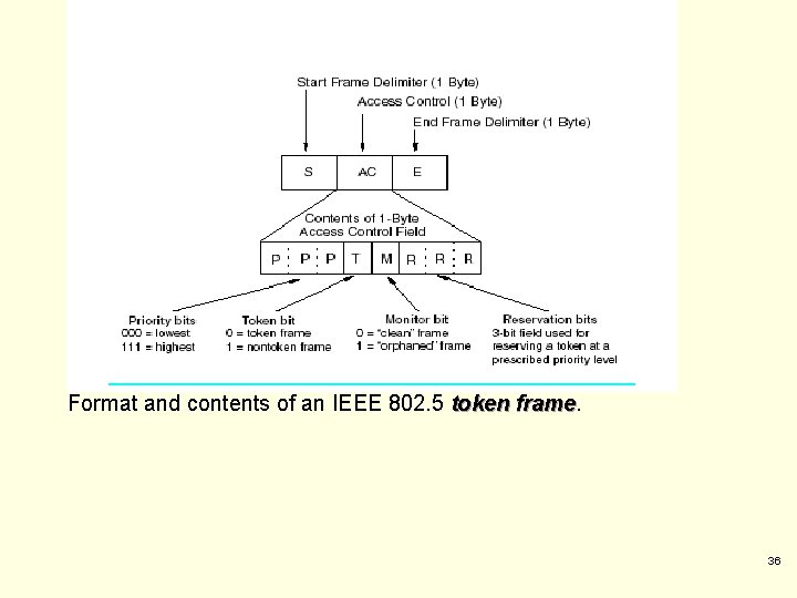 Format and contents of an IEEE 802. 5 token frame 36 Format and contents of an IEEE 802. 5 token frame 36